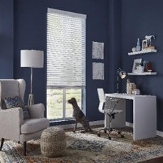 The safest window treatments for furry friends
