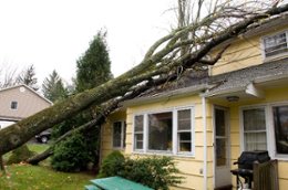 What type of damage to look for after a storm goes through your neighborhood