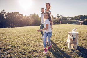 Tips for keeping your family and pets safe from the summer heat