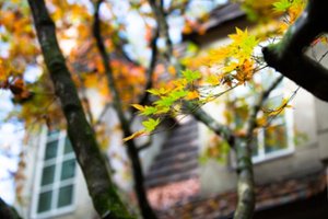 Prepare your home for winter with this fall home maintenance checklist