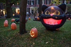 Six tips to protect your property this Halloween
