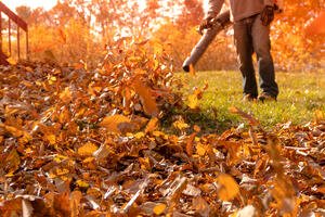 Tips and tools for cleaning up fall leaves